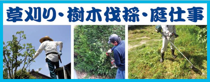 庭仕事スマートフォン用の画像